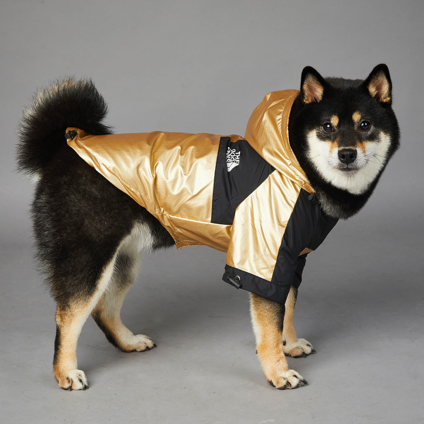 Large Dog Raincoat – Waterproof Pet Jacket for All-Weather Walks