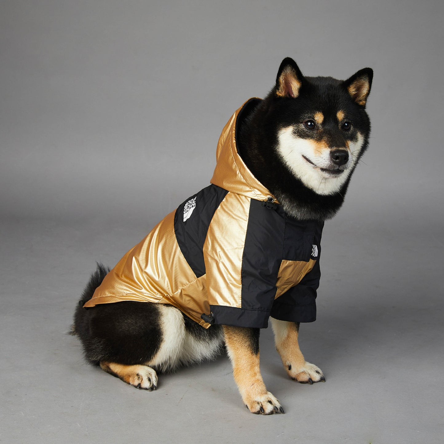 Large Dog Raincoat – Waterproof Pet Jacket for All-Weather Walks