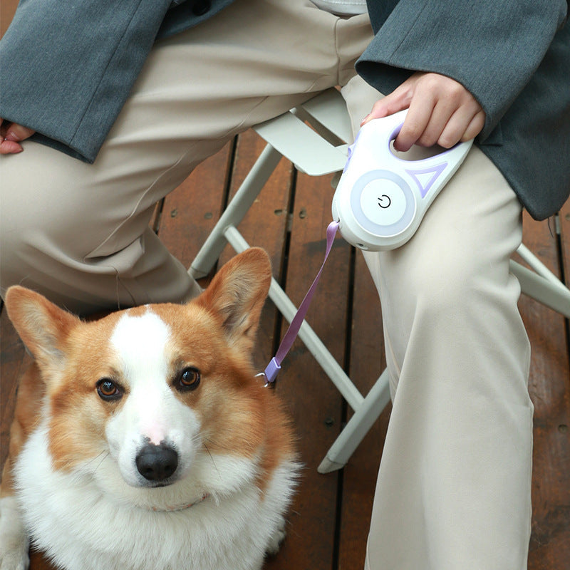 Retractable Dog Leash with Collar and Spotlight for Pets